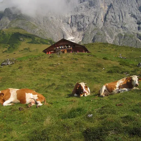 Molteraugut Appartamento *